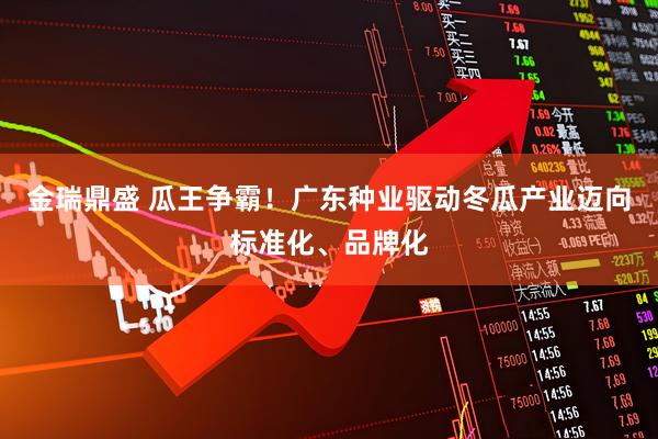 金瑞鼎盛 瓜王争霸！广东种业驱动冬瓜产业迈向标准化、品牌化