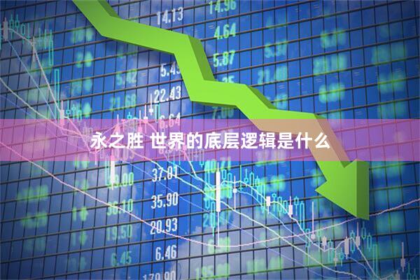 永之胜 世界的底层逻辑是什么