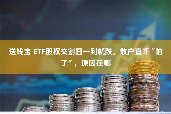 送钱宝 ETF股权交割日一到就跌，散户直呼“怕了”，原因在哪
