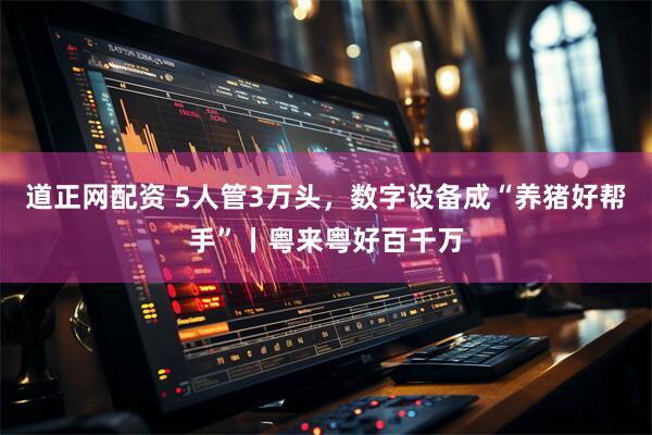 道正网配资 5人管3万头，数字设备成“养猪好帮手”丨粤来粤好百千万