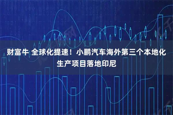 财富牛 全球化提速！小鹏汽车海外第三个本地化生产项目落地印尼